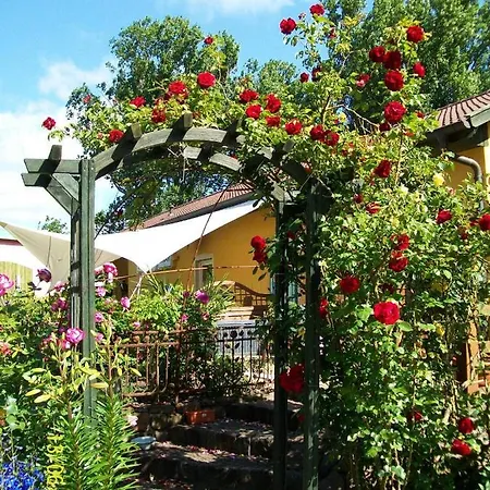 Barrel -Schlafen Im Fass Hotel Gorleben Exterior photo