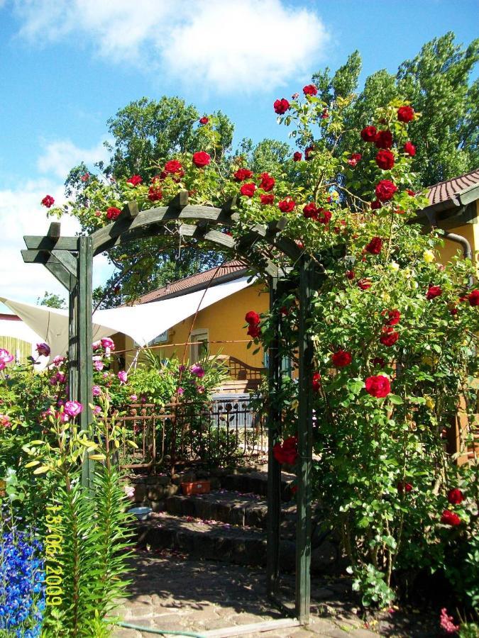 Barrel -schlafen Im Fass Campsite