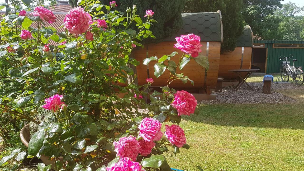 Barrel -schlafen Im Fass *